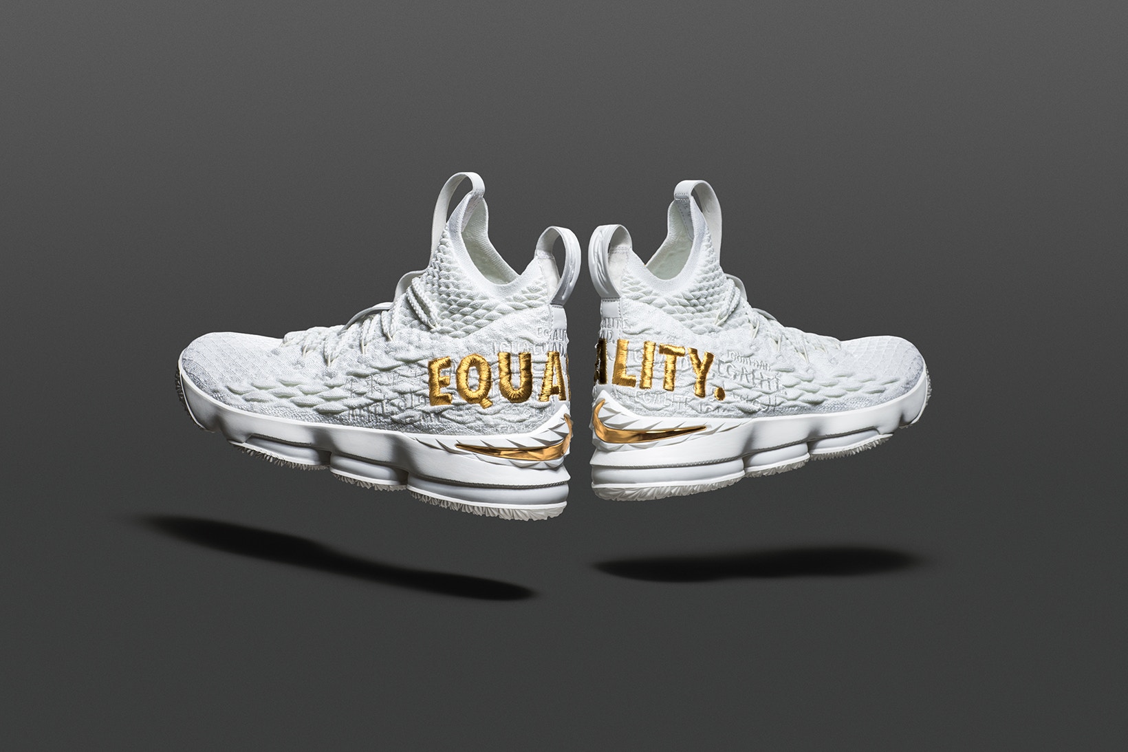 lebron james 15 equality