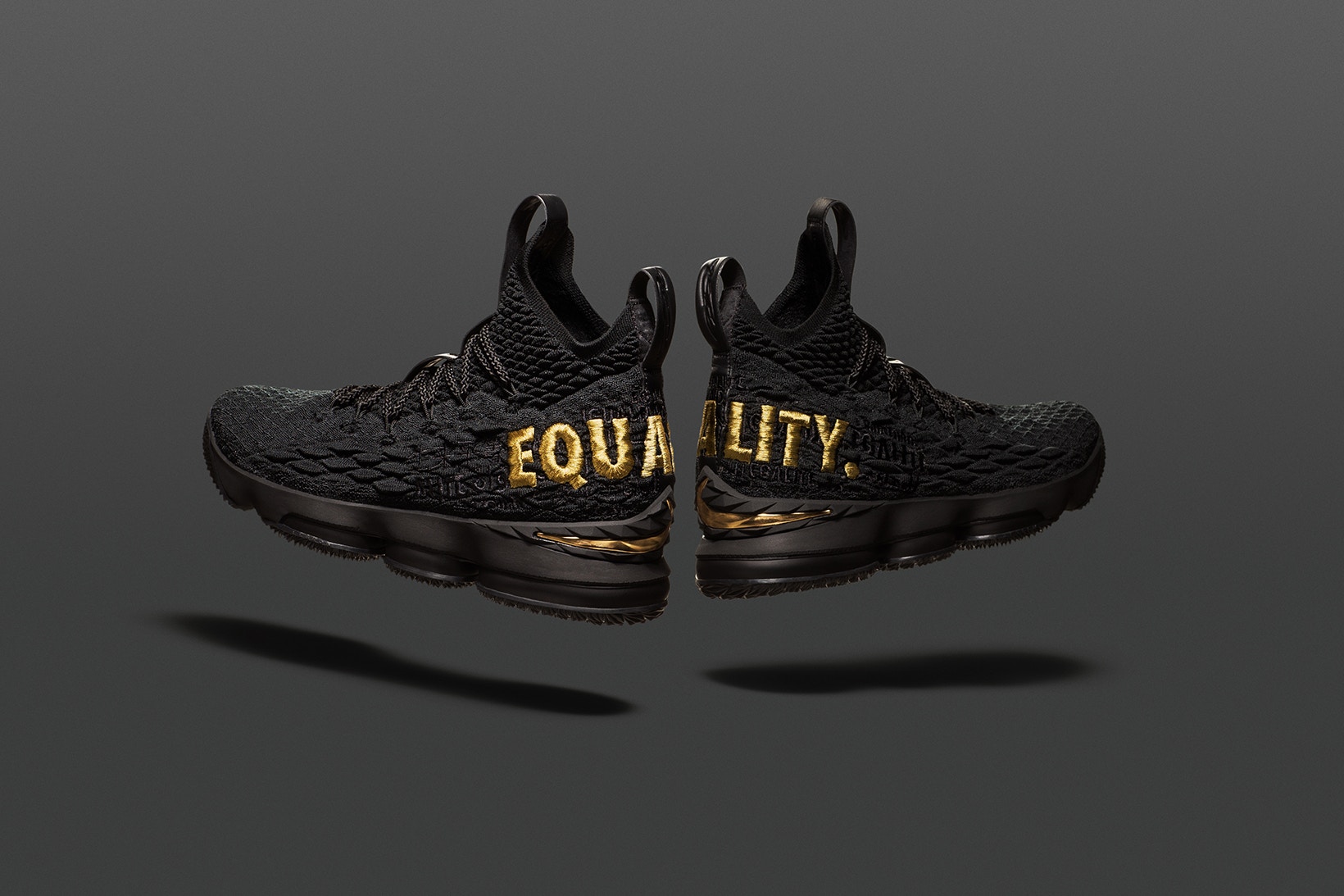 lebron james 15 equality