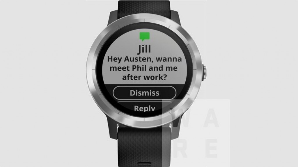 garmin vivoactive altimeter