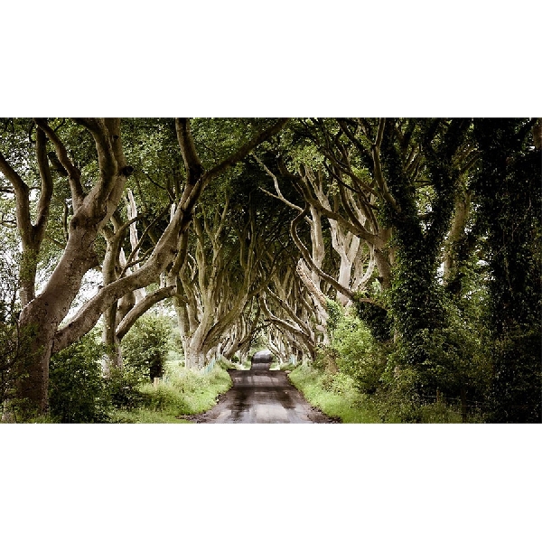 Fans Game of Thrones? Siap-siap Tur Studionya Bakal Dibuka di Irlandia Utara