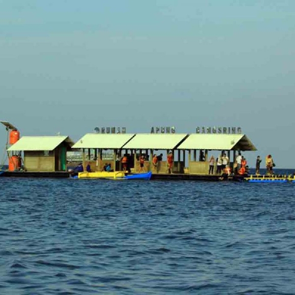 Berenang Bersama Hiu di Rumah Apung Bangsring