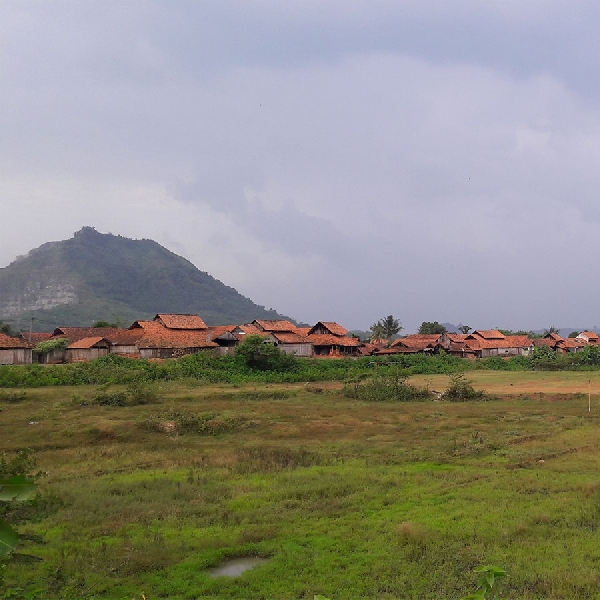 Cari Udara Segar di Pedesaan? ke Gunung Parang Aja