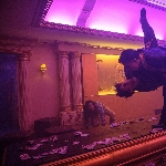 Review The Furious, High Octane Action!
