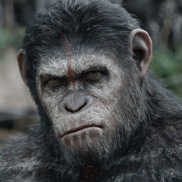 Film Terbaru Planet of the Apes akan Segera Memulai Proses Produksi