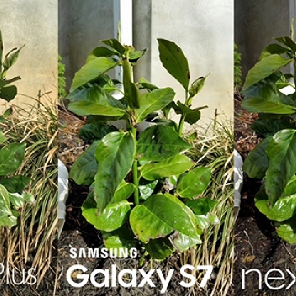 Uji Kamera Samsung Galaxy S7, iPhone 6s Plus Dan Nexus 6P, Unggul Mana ?