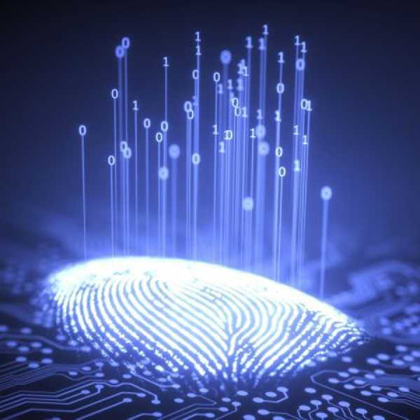 Samsung Bakal Hadirkan Fingerprint di Seluruh Layar