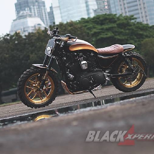 Modifikasi Harley Davidson Sportster - Scrambler Bad Boy