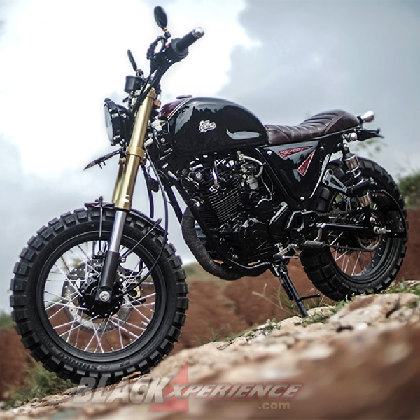 Modifikasi Scorpio Scrambler - Still Dual Sport 