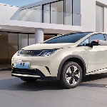 BYD Dolphin Bakal Hadir Di Korea Selatan, Bakal Seperti Apa?