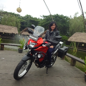 kawasaki versys 250 touring