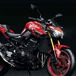 Ulang Tahun ke-50, Kawasaki Perkenalkan Model Z900 dan Z650