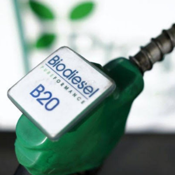 Biodiesel Naik, Ini Harganya per September 2019