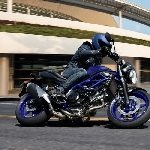 Suzuki Bakal Suntik Mati Dua Motor Ikonik 650cc Ini, Apa Itu?