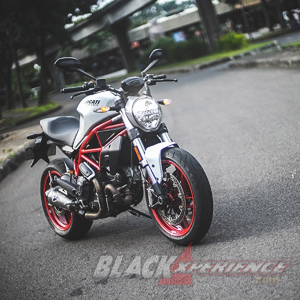 Ducati Monster 797 - Worthy Baby Monster