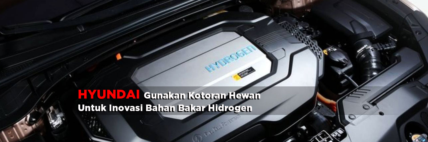 Unik, Hyundai Gunakan Kotoran Hewan Untuk Kembangkan Bahan Bakar Hidrogen