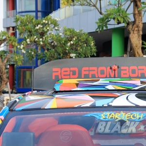 Rear wing Red From Borneo