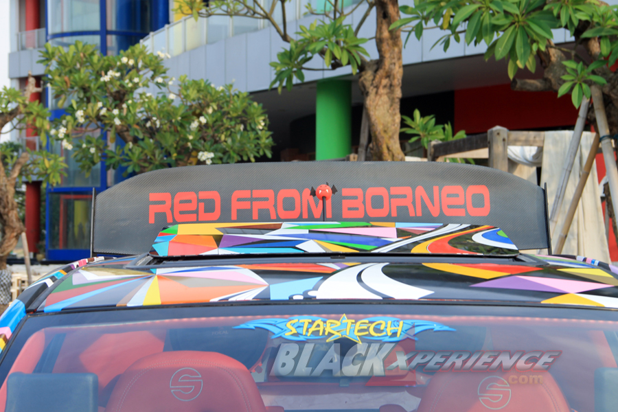 Rear wing Red From Borneo