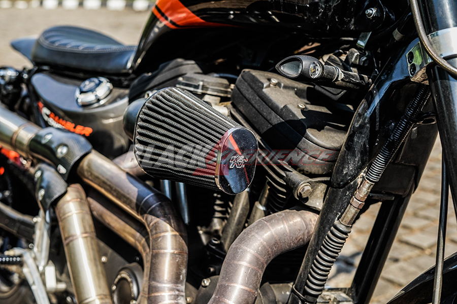 Modifikasi Harley Davidson Sportster XL 1200, Daily Scrambler 