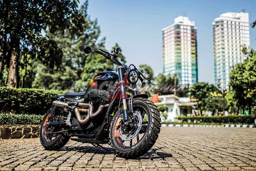 Modifikasi Harley Davidson Sportster XL 1200, Daily Scrambler 