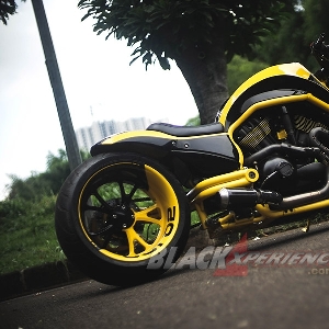 Harley Davidson V-Rod CCI - Kekar Layaknya Supercar