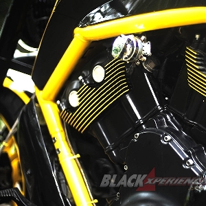 Harley Davidson V-Rod CCI - Kekar Layaknya Supercar