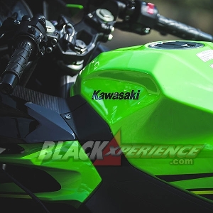 All New Kawasaki Ninja 250 &ndash; Jadi Tolak Ukur Baru