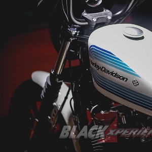 Harley Davidson FXDR dan Iron-Moge Klasik, Tenaga Modern