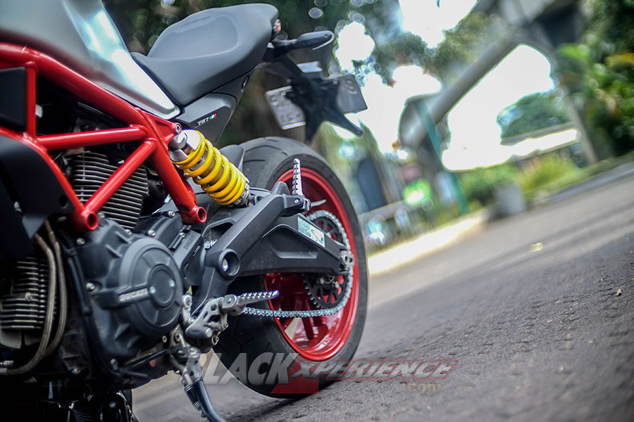 Ducati Monster 797 Worthy Baby Monster