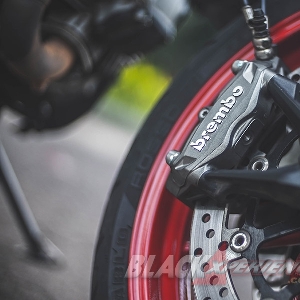 Ducati Monster 797 Worthy Baby Monster