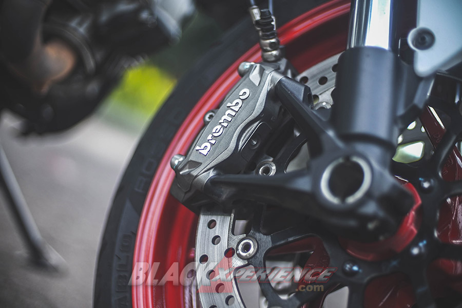 Ducati Monster 797 Worthy Baby Monster