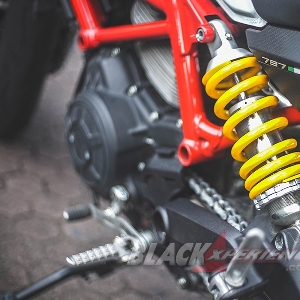 Ducati Monster 797 Worthy Baby Monster