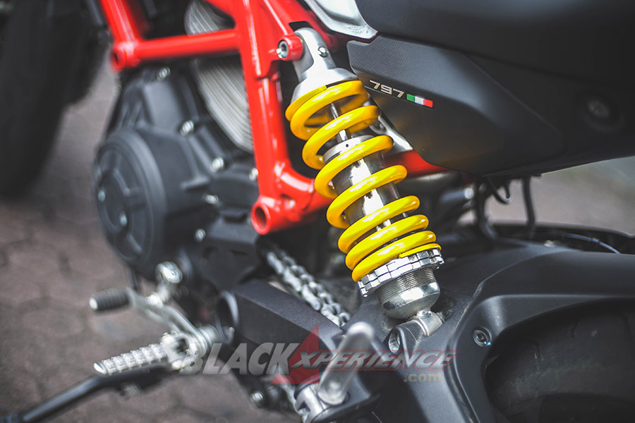 Ducati Monster 797 Worthy Baby Monster