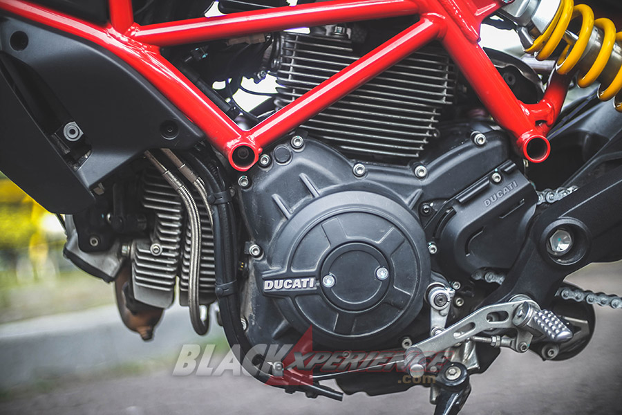 Ducati Monster 797 Worthy Baby Monster