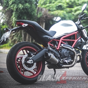 Ducati Monster 797 Worthy Baby Monster