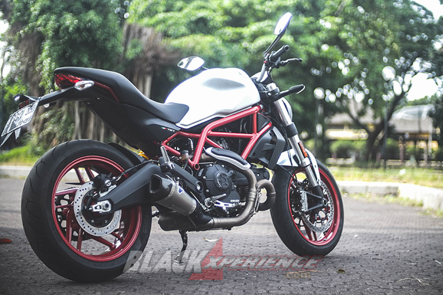 Ducati Monster 797 Worthy Baby Monster