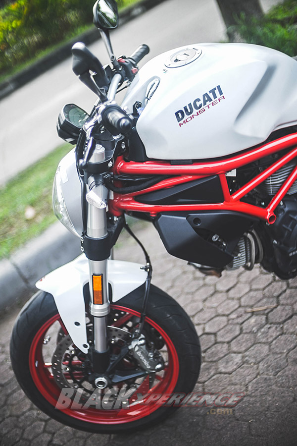 Ducati Monster 797 Worthy Baby Monster