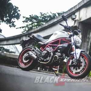 Ducati Monster 797 Worthy Baby Monster