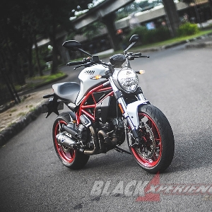 Ducati Monster 797 Worthy Baby Monster