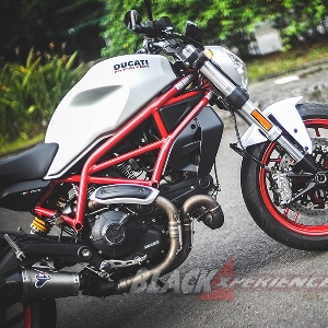 Ducati Monster 797 Worthy Baby Monster