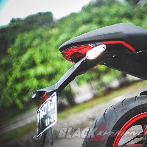 Ducati Monster 797 Worthy Baby Monster