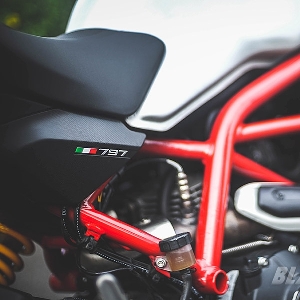 Ducati Monster 797 Worthy Baby Monster