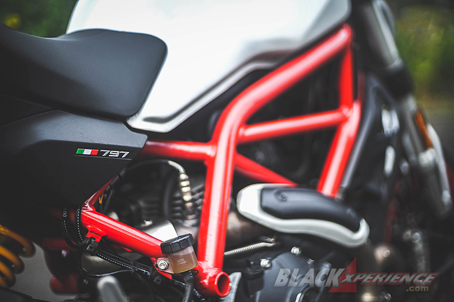 Ducati Monster 797 Worthy Baby Monster