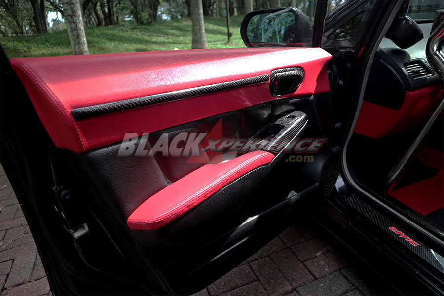 Door trim carbon