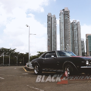 All About American Muscle Car (Part 1)