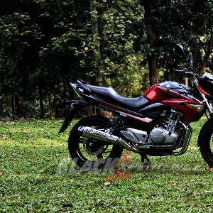 Tinggi jok 780 mm