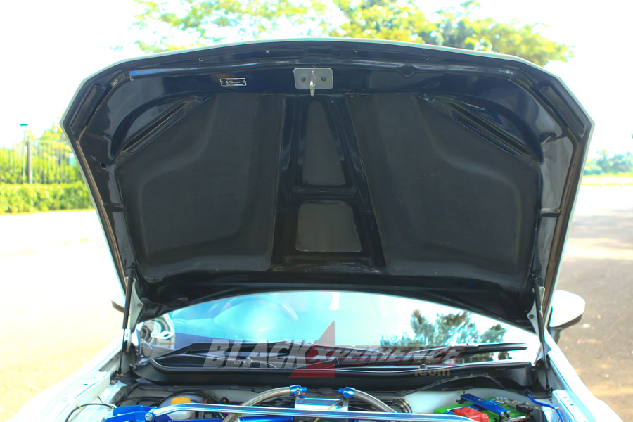 Engine hood carbon fiber 