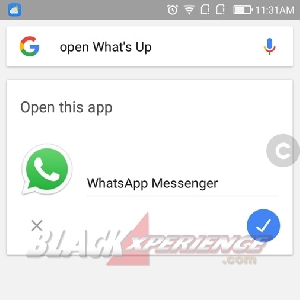 iParrot berhasil membuka aplikasi WhatsApp