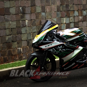 Kawasaki Ninja 150 RR, Racing Bike