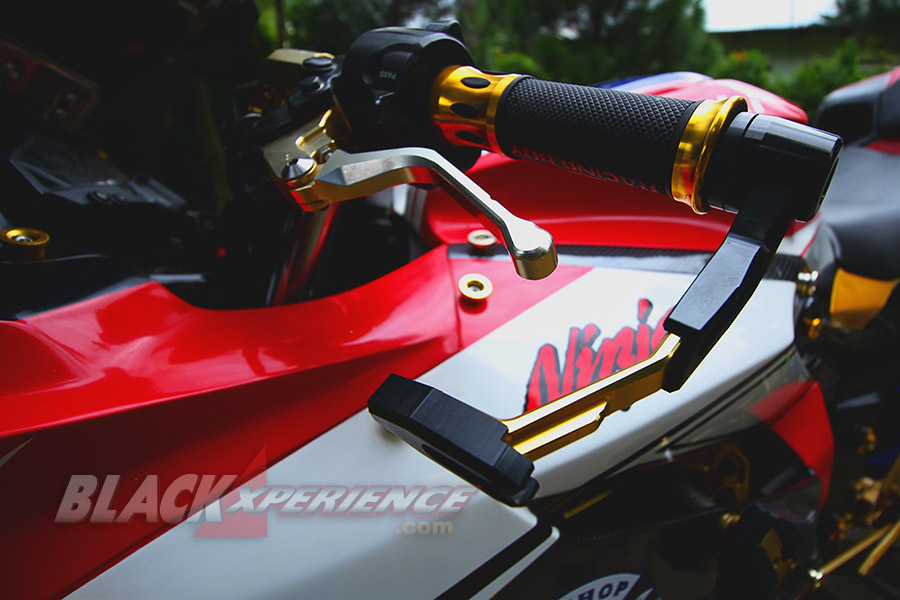 Modifikasi Ninja 250 FI dengan Body Kit Panigale 1199 Dambaan Kawula Muda