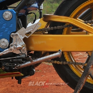 Swing arm Delkevic
